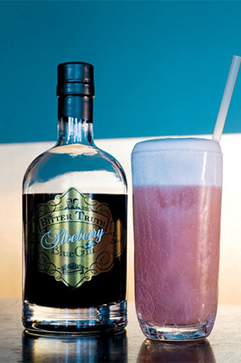 Sloeberry Gin Fizz