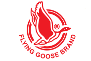 Flying Goose