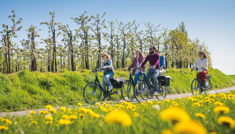 Bloesemkriebels in het Hageland